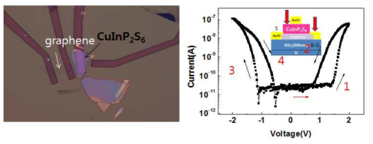 CuInP2S6/그래핀 접합소자의 광학현미경 이미지와 수직 구조에서의 I-V 특성