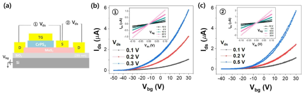 (a) FET소자의 모식도. (b) CrPS4/MoS2 채널 및 (c) MoS2로만 이루어진 채널의 I-V 특성