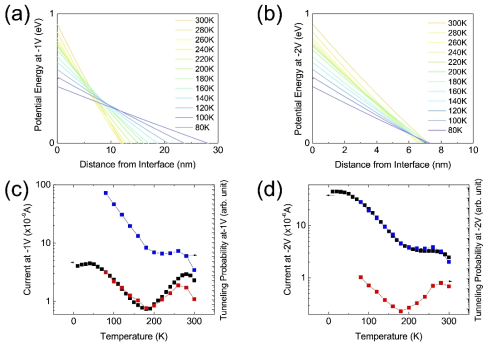 (a) 온도 의존적인 유전상수 기반 모델의 –1 V에서 및 (b) 온도 및 전기장 의존적인 유전상수 기반 모델의 –2 V에서의 포텐셜 프로파일의 시뮬레이션 결과. (c ) -1 V에서의 전류값과 터널링 확률, (d) -2 V에서의 전류값과 터널링 확률. 붉은색은 온도 의존적인 유전상수 기반 모델, 푸른색은 온도 및 전기장 의존적인 유전상수 기반 모델