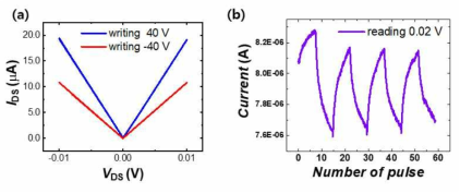 (a) 40 V, –40 V의 게이트 전압을 인가했을 때의 IDS-VDS 특성. (b) 반복적인 전압 pulse의 인가로 얻은, 0.02 V의 reading 전압에서의, 시냅스 가소성 특성