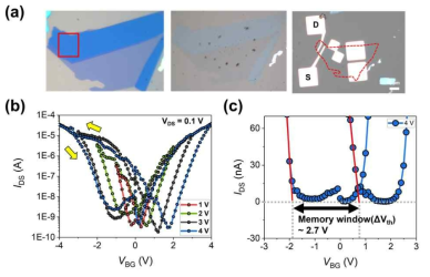 (a) SiO2/Si 기판 위에 박리된 WSe2, wet transfer 방법을 이용해 10 nm HZO 박막 위에 transfer 된 WSe2, 제작된 WSe2 FeFET 소자의 광학 현미경 사진. 왼쪽 이미지의 빨간 영역이 채널로 사용되었다. 게이트 전압에 따른 drain 전류의 (b) log scale, (c) linear scale 그래프