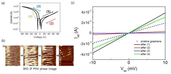 (a) BFO lateral 커패시터의 I-V 관계 그래프, (b) voltage sweeping에 따른 in-plane PFM 이미지, (c) 각 voltage sweeping (1)~(4) 후에 측정된 그래핀 소자의 source-drain 그래프