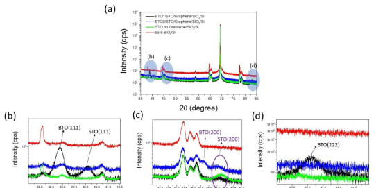 그래핀 기판 위에 서로 다른 조건으로 성장시킨 BTO 박막의 XRD 측정 결과