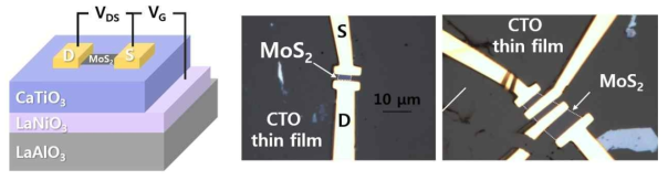 MoS2/CTO/LNO/LAO 이종접합 소자의 (왼쪽) 모식도와 (가운데 및 오른쪽) 광학 현미경 이미지