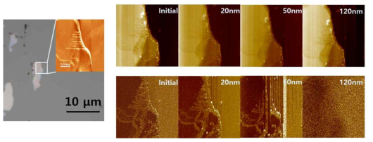 Si 기판 위에 박리된 MoS2에 AFM lithography 조건을 조절하여 선택적으로 수소화시킨 MoS2의 AFM topography(위) 및 MFM phase(아래) 이미지