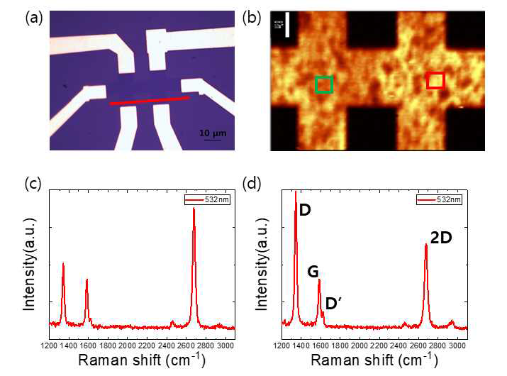 (a) Hall-bar 구조로 제작된 그래핀 산화물 소자의 광학 현미경 이미지와 (b) 전압 인가 후 얻은 그래핀 산화물 영역의 D peak 라만 맵핑 이미지. (b)의 (c) 어두운 영역 (녹색 사각형)과 (d) 밝은 영역(붉은 사각형)에 대한 라만 스펙트럼