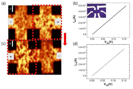 Hall-bar 구조의 그래핀 산화물 소자에서의 전압 방향 변화에 따른 (a), (c) D peak 라만 맵핑 이미지와 각각의 (b), (d) I-V 측정 결과. (a), (c)는 오른쪽 전극에 2 V, (b)와 (d)는 왼쪽 전극에 15번 반복적으로 2 V의 전압을 5분 동안 인가시킨 후 얻은 측정 결과이다