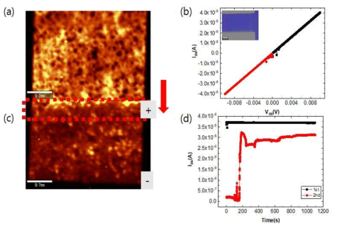 2-probe 구조 그래핀 산화물 소자에 0.005 V의 전압을 인가하기 (a) 전과 (c) 후의 D peak 라만 맵핑 이미지. (b) 0.005 V의 전압을 인가하기 전에 반복적으로 측정한 I-V 측정 결과. (d) 0.005 V의 전압을 일정 시간 연속적으로 인가하면서 측정한 I-t 측정 결과