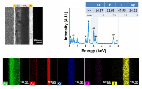 Au/Ag/CrPS4/Au 소자의 set 상태에서 단면 TEM 이미지 및 EDS data