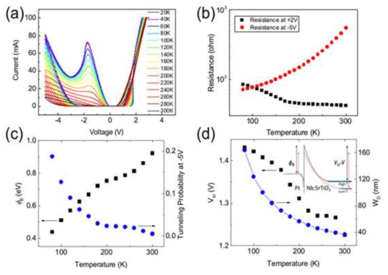 Pt/Nb:STO Schottky 구조에서 나타나는 온도에 따른 전기적 특성. 온도에 따른 (a) I-V 그래프 및 (b) +2 V, -5 V에서의 저항. 온도에 따른 (c) SBH 및 –5 V에서의 터널링 확률과 (d) built-in potential 및 depletion width. Inset은 온도변화에 따른 밴드 다이어그램을 나타낸다