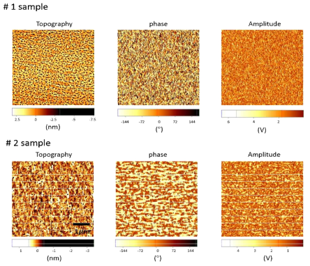 샘플 1과 샘플 2의 AFM topography와 PFM in-plane phase 및 amplitude 이미지