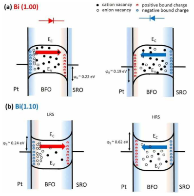 (a) Bi(1.00)과 (b) Bi (1.10)을 사용한 Pt/BFO/SRO 소자의 밴드 모식도