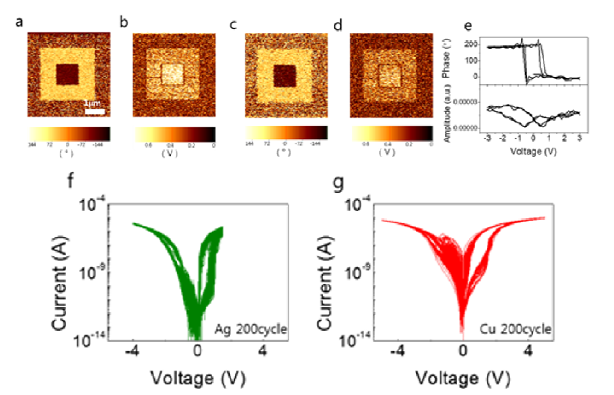 (a-e) PZT/LSMO/STO 구조에서의 PFM 측정 결과 및 (f) Ag, (g) Cu 상부 전극을 가진 소자에서의 I-V 특성