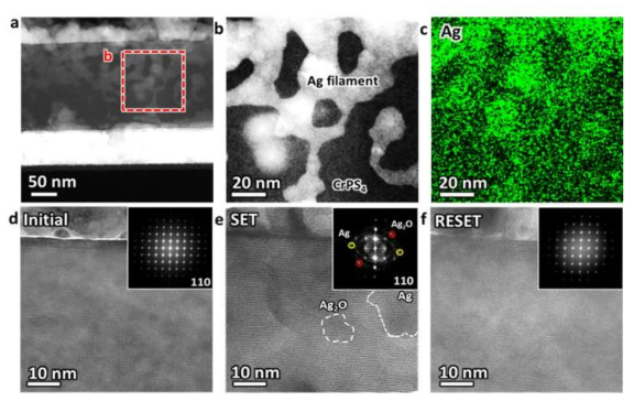 (a) Set 상태로 제작한 Ag/CrPS4/Au 소자의 ex-situ cross-section HR-TEM 이미지. 그림 (a)에서 빨간색 점선으로 표시된 영역의 (b) 확대된 cross-section HR-TEM 이미지와 (c) Ag 에너지에서의 EDS 맵핑 이미지. (d) initial, (e) set, (f) reset 상태에서 CrPS4 영역의 cross-section HR-TEM 이미지와 각각의 전자 회절 패턴