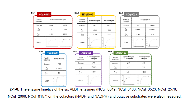 Enzyme kinetics of 6 ALDH enzymes