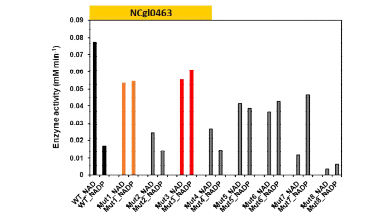 Relative activity of wild type and mutant type of NCgl_0463 ALDH enzyme against xeno-substrate