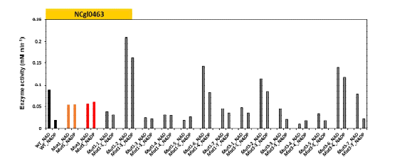 Relative activity of wild type and mutant type of NCgl_0463 ALDH enzyme against xeno-substrate