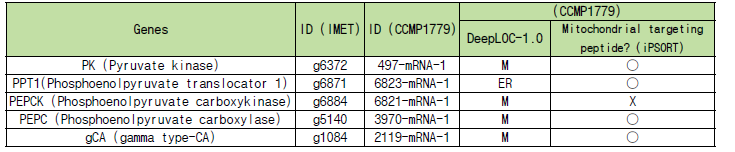 Nannochloropsis에서 미토콘드리아 CCM 관련 유전자 ID와 세포내 위치 예측 결과