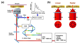 (a) 고민감도 수직적 시분해 SHG 분광기의 개략적 모식도. (b) Linear 및 radial polarization 집광 시초점 지점에서의 편광 비교