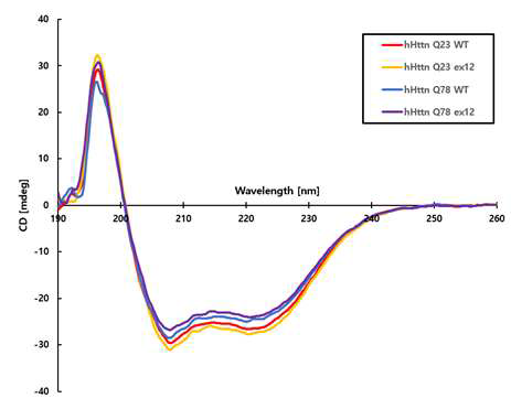 4가지 종류의 헌팅턴 단백질을 이용한 CD분석 결과 CD 실험은 총 4가지의 단백질을 가지고 진행하였다. 실 험 결과는 Q23 WT(빨간색), Q23 del12(노란색), Q78 WT (파란색) 그리고 Q78 del12(보라색)으로 표시하였다.