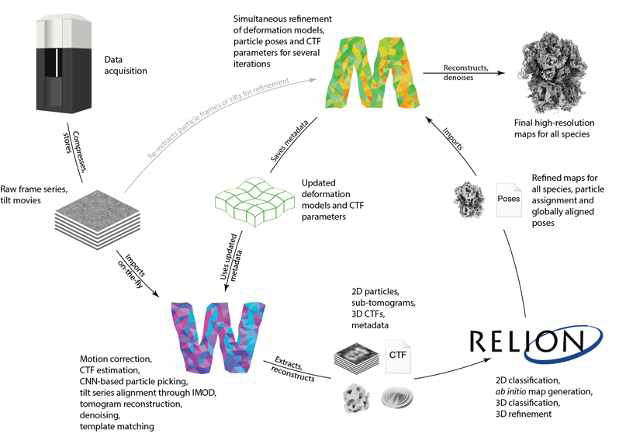 cryo-ET data processing procedure (Nature Method 2021)