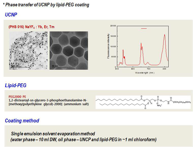 표면개질 기술 최적화를 위해 사용된 NaYF4:Yb,Er,Tm 의 TEM 이미지와 PL 스펙트럼, 그리고 lipid-PEG 의 구조와 코팅 방법