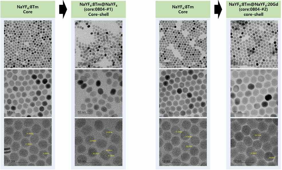 Tm 8% 광사태 나노 입자 (ANPs, avalanching nanoparticles)의 코어 입자와 코어-쉘 구조의 나노입자 TEM 이미지