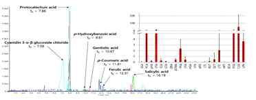 180253(1280.2μg/g)의 ion chromatogram과 상위 10% 그룹의 phenolic compound 물질별 평균 함량