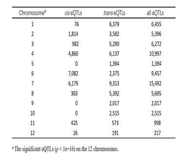 염색체별 eQTLs 통계량