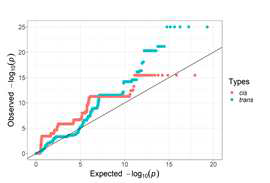 염색체 수준의 eQTL의 p value에 대한 QQ plot. Genomic correction이 수행되어 있음.