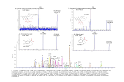55 targeted phenolic compounds와 2 amino acids의 ion chromatogram과 대표적인 4가지 물질의 MS/MS spectra와 fragmentation schemes