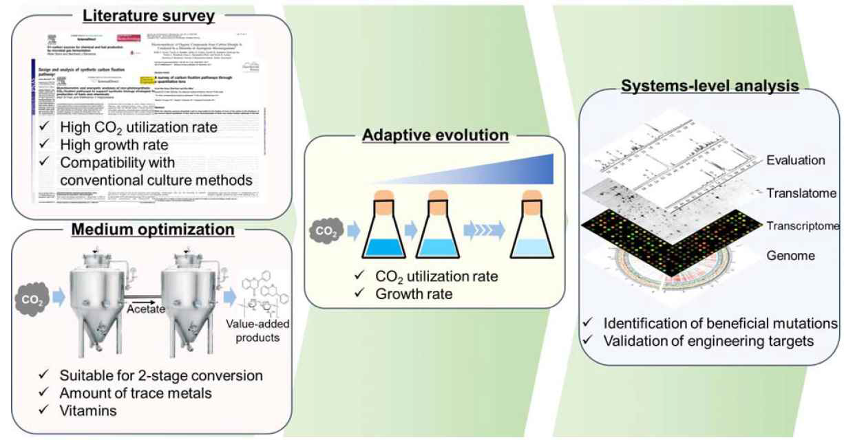 CO2 전환 균주 개발 과정