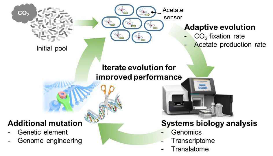 이산화탄소로부터 아세트산을 생산하는 과정의 진화과정