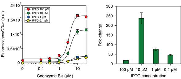 조효소 B12(Coenzyme B12) 농도에 따른 그래프와 최소 최대 신호의 비