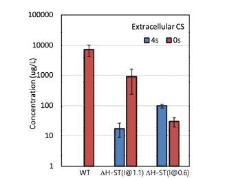 Extracellular (left) and intracellular (right) CS in K4DkfoE(DE3) and K4DkfoEDcysH(DE3) pETM6-C4ST (Induced at OD600nm1.1Redbar=unsulfateddisaccharide.