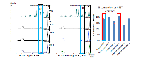 Discaccharide analysis of chondroitin 6-sulfotransferase mutants generated using the PROS algorithm.