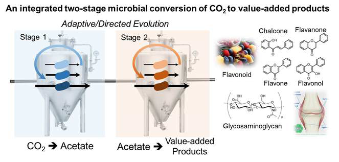 모듈식 2단계 생물학적 CO2 전환 공정