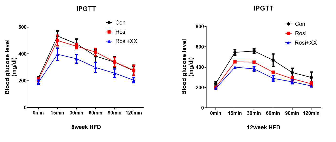고지방 식이 투여 생쥐 인슐린 저항성 당뇨 모델에서 후보물질의 항당뇨 효능 검증함.