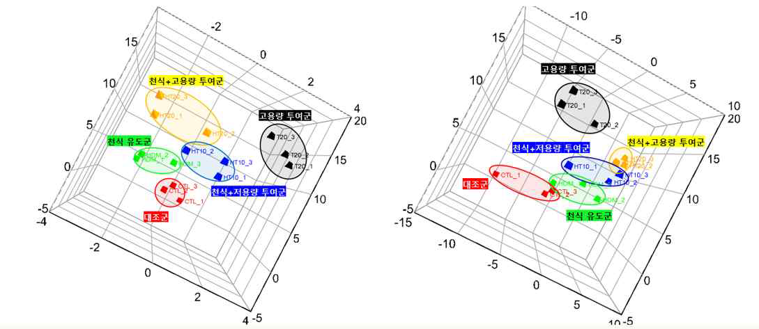 대사체학 분석 조건에서의 다변량 통계분석 결과 좌- positive ionization mode, 우- negative ionization mode