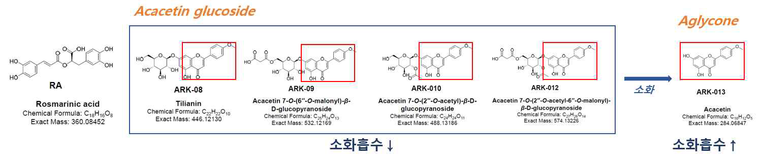 배초향 추출물 내 유효성분의 예상 대사 기전