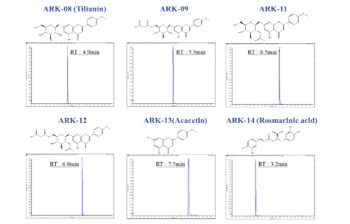 배초향 추출물의 유효성분의 UPLC-MS/MS 분석 결과 크로마토그램