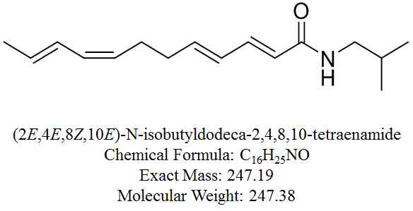 (2E,4E,8Z,10E)-N-isobutyldodeca-2,4,8,10-tetraenamide의 구조