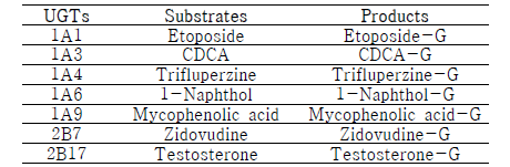 UGT 효소계 구축을 위한 대상 UGT isoform과 substrate 그리고 product