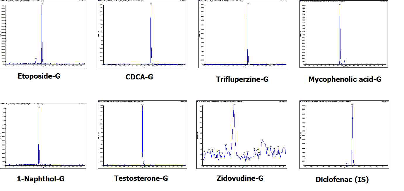 UGT 효소 반응 후 UPLC-MS/MS의 크로마토그램