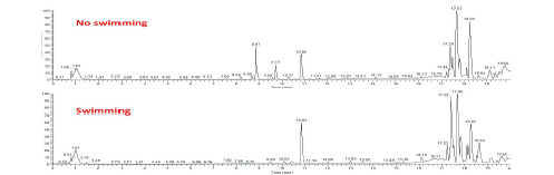 실험군과 대조군의 UPLC-Orbitrap-MS 프로파일링 (Positive mode)