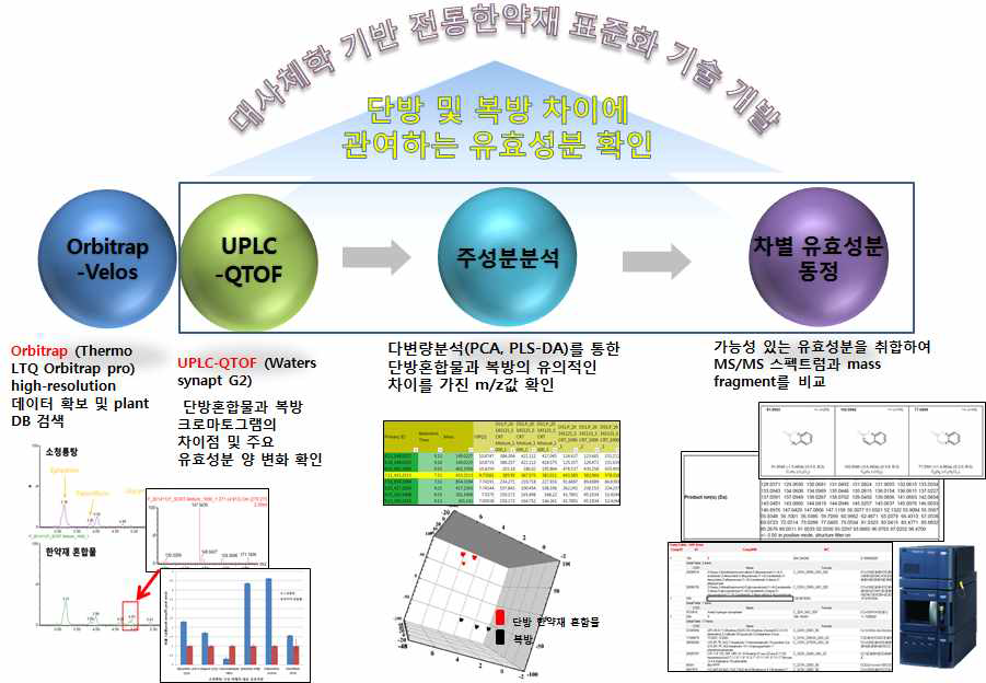 소청룡탕 단방혼합물과 복방의 크로마토그램의 변화에 기인한 유효성분 추적 시스템 구축