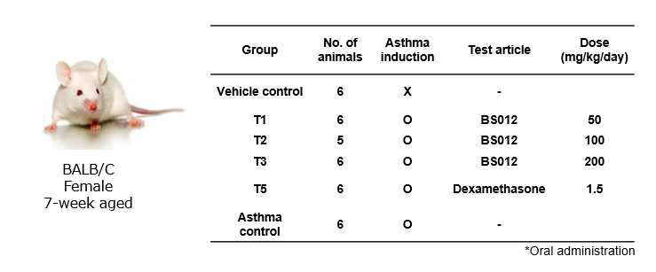 Ovalbumin 유도 천식모델의 실험 그룹의 구성과 투여 용량