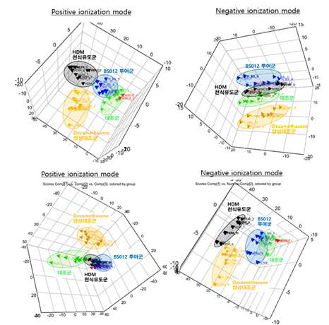 대사체학 및 지질체학 분석 조건에서의 다변량 통계분석 결과