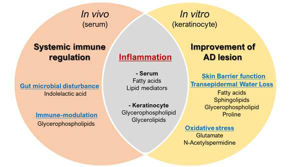 in vivo 및 in vitro 아토피 피부염 모델에 BS012 투여 후 대사기전의 비교