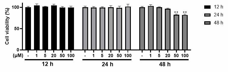 N-isobutyldodeca-2,4,8,10-tetraenamide의 각질세포에서의 독성 평가 결과